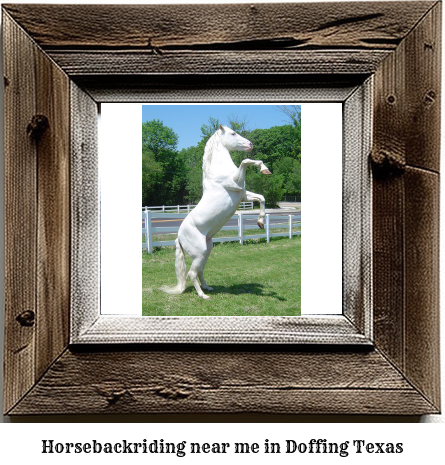 horseback riding near me in Doffing, Texas